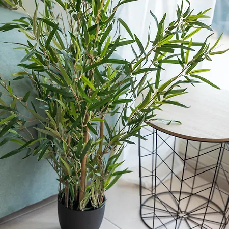 Bella Vista In The Center By Binobi! Apartamento *